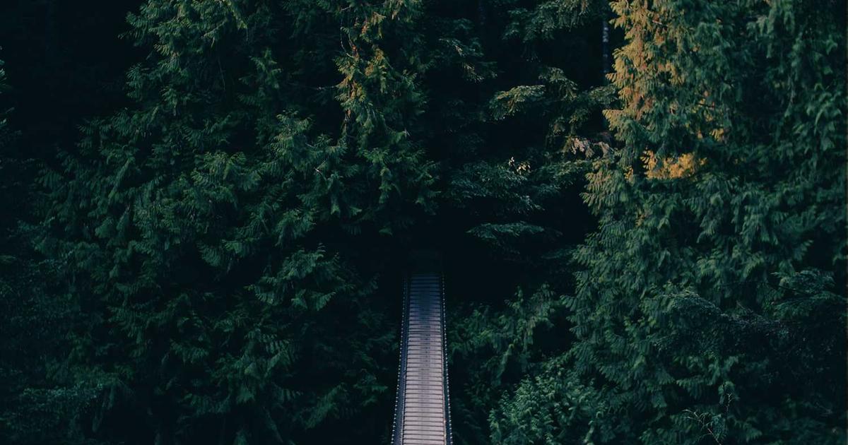 Peresmian Jalan Desa Baru Sepanjang 2 Km