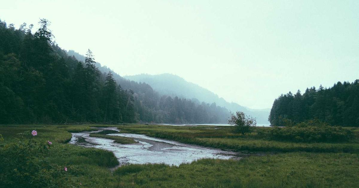 Peresmian Perpustakaan Digital Desa