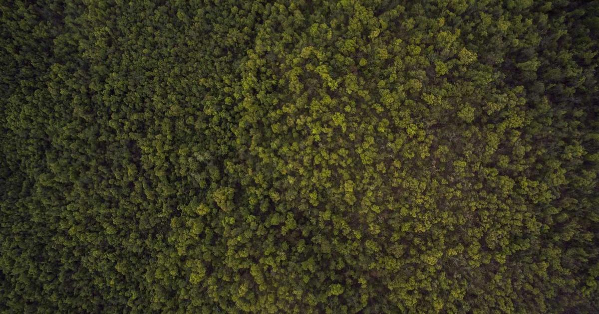 Keberhasilan Program Literasi Digital