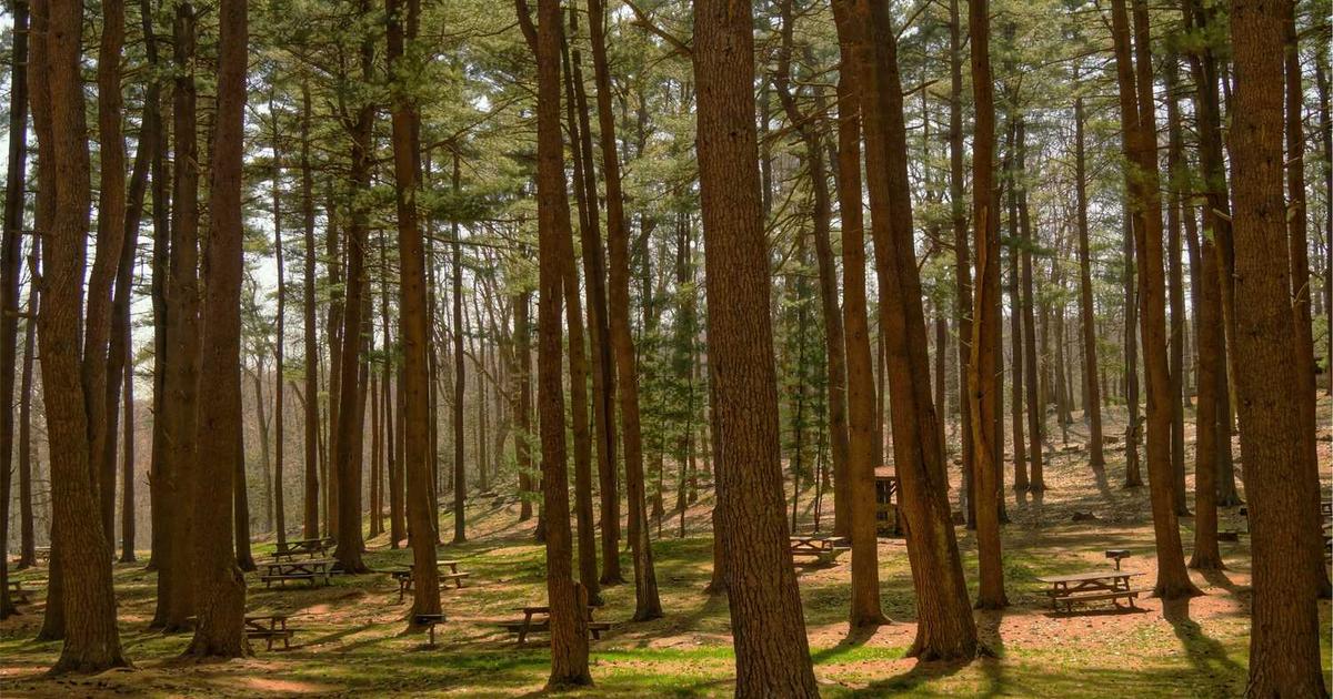 Peresmian Balai Desa Modern