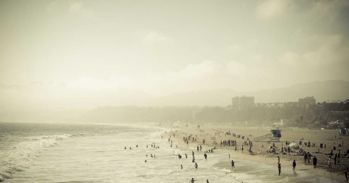 Keberhasilan Panen Raya Padi 100 Hektar