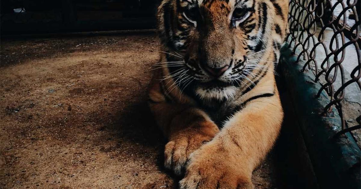 Pelaksanaan Sosialisasi Program Dana Desa