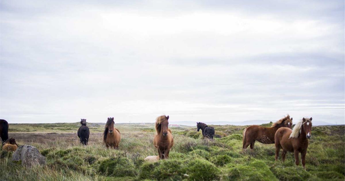 Peningkatan Infrastruktur Jalan Desa