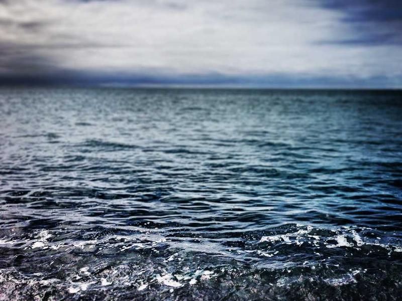 Festival Panen Raya - uIwDh