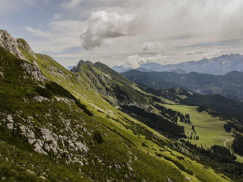 Pemandangan Sawah - QQPaX