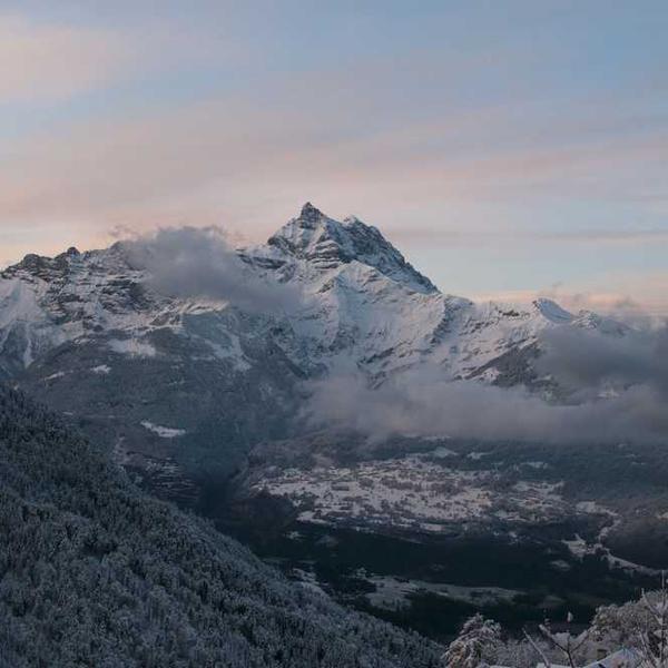 Brownies Coklat Lumer 23