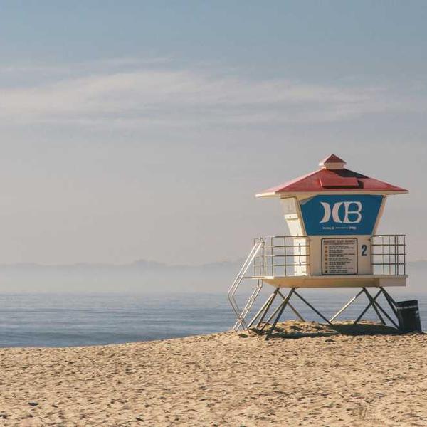 Beras Organik Premium 93